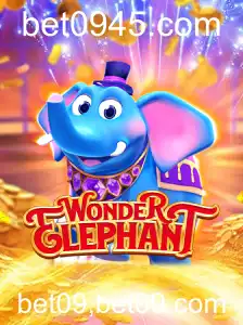 Explorando o Fascinante Mundo de WonderElephant: Uma Jornada Eletrizante nas Terras Selvagens